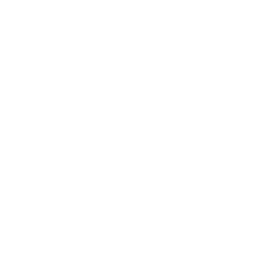 Ton Araujo